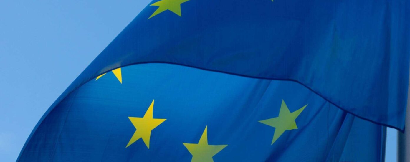 Picture of the EU flag