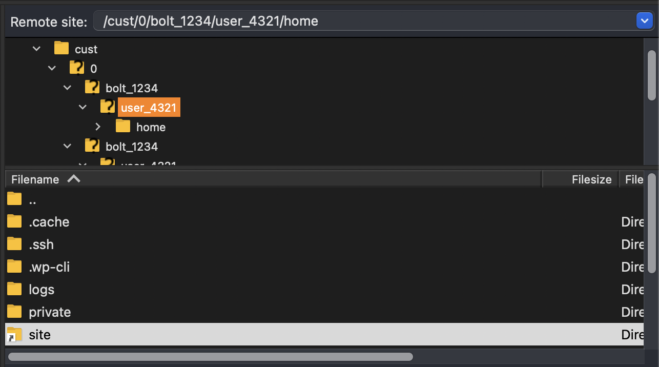 FileZilla showing the remote environment’s directory structure.